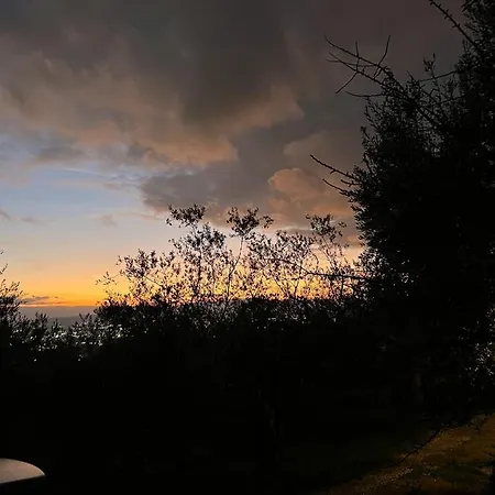 Apartamento One Bedroom With View Shared Pool And Enclosed Garden At *